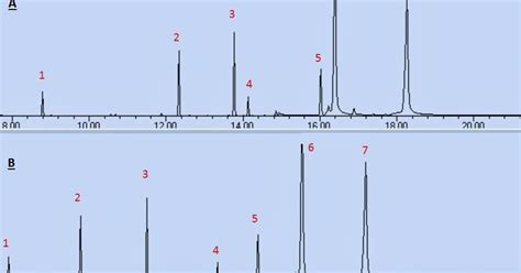 Gradient Elution in Liquid Chromatography | Chemistry Net