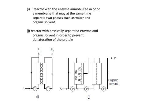 PPT - Immobilized Enzymes Reactors PowerPoint Presentation, free download - ID:1902580