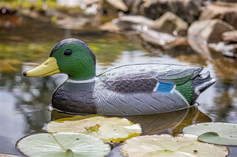 Floating Mallard Duck Decoy Pair, Male & Female Set - Pond H2o