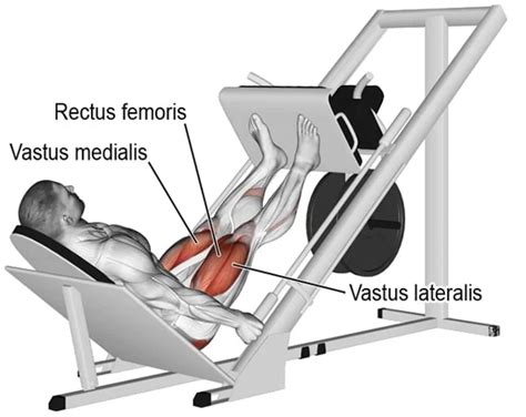 Leg Press Exercise: Muscle worked, Benefits, How to Do?