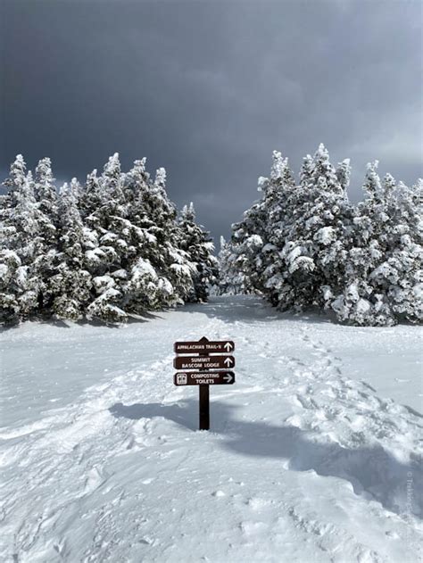 Mount Greylock in Winter - Trekking Sketches