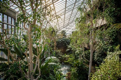 Barbican Conservatory: A Peek Inside London's Secret Garden