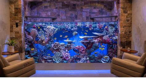 Massive Custom Home Aquarium - 3000g Saltwater - Large Fish Tank Build - YouTube