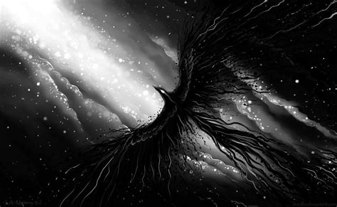 Black Phoenix Wallpapers - Top Free Black Phoenix Backgrounds ...