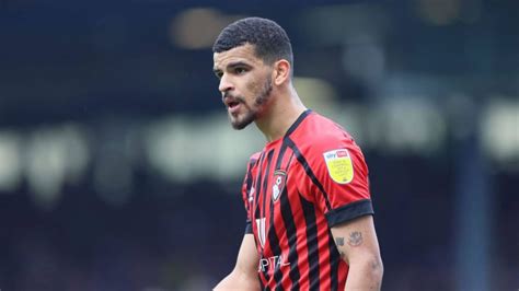 Dominic Solanke news: Prolific Bournemouth striker signs new long-term ...