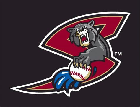 Sacramento River Cats | Baseball teams logo, Sacramento river, Baseball team