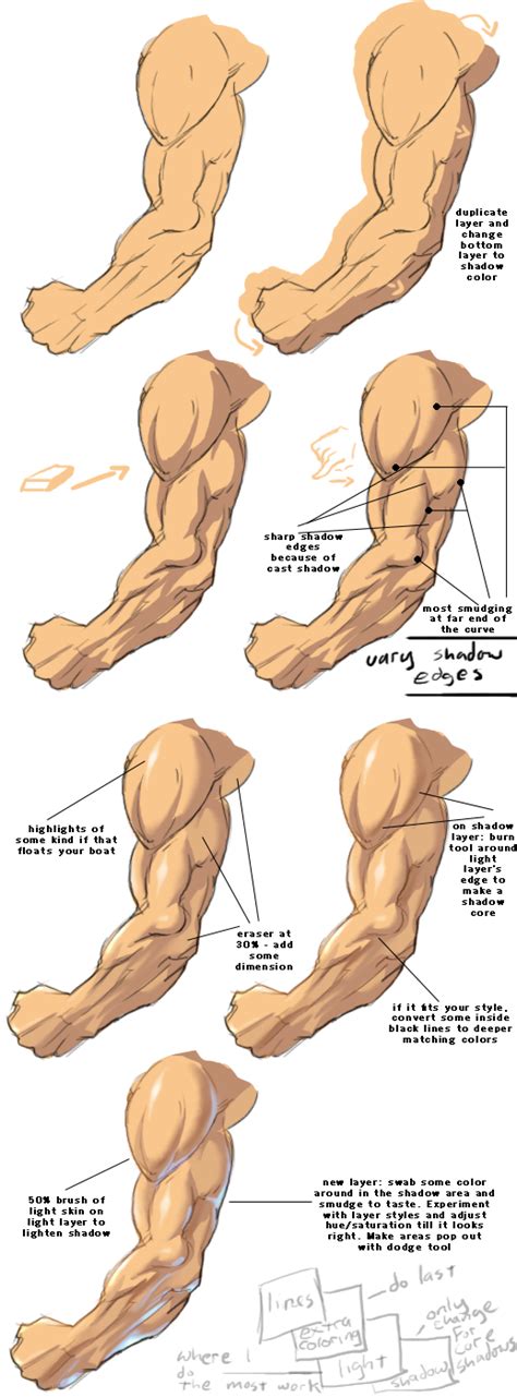 PS, Gimp shading tutorial by ~Kiwi-RGB on deviantART | Anatomy art, Drawing tips, Digital ...