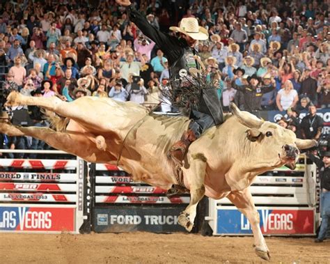 Extreme American Rodeo en Costa Rica esta Listo