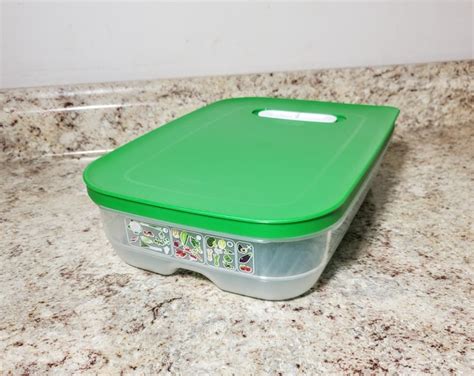 Tupperware Storage Container, Divided Veggie Relish Party Tray With Lid ...