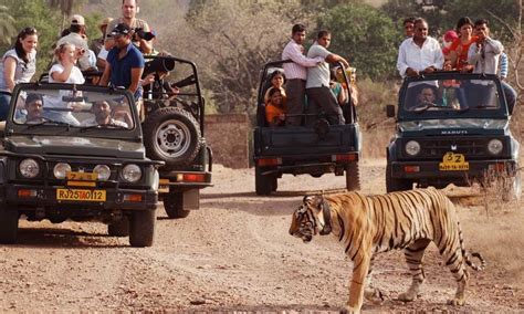 Top 12 Ranthambore Tourist Places Your Should Visit | Kabira Tours