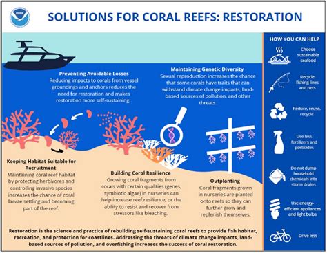 NOAA's Coral Reef Conservation Program (CRCP) - Solutions for Coral ...