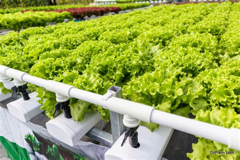 The Good, the Bad and the Ugly about Vertical Farming