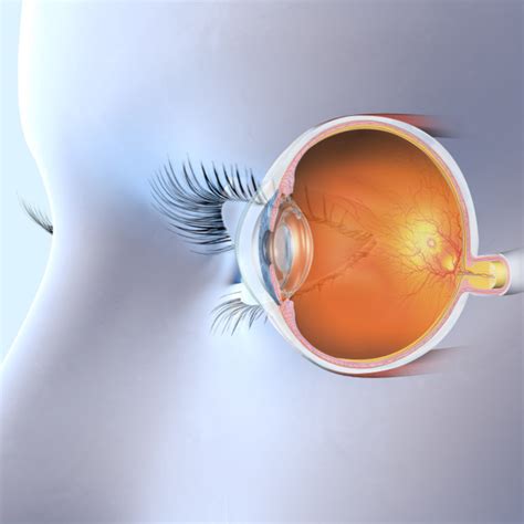 Optic nerve atrophy treatment using umbilical cord stem cells - FUTURE BIOMED CLINIC AND LAB