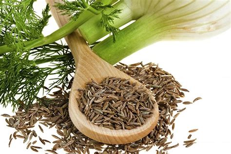 Usage and Benefits Of Fennel Tea | Healthspectra.com