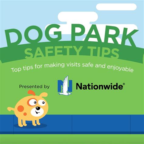 Dog Park Safety Tips - My Pet Insider