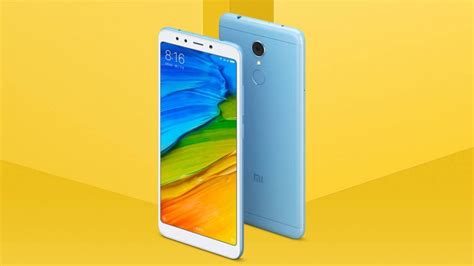 Xiaomi Redmi 5 Screen Specifications • SizeScreens.com