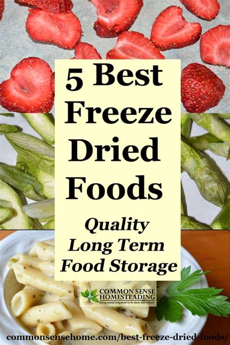 5 Best Freeze Dried Foods - Quality Long Term Food Storage