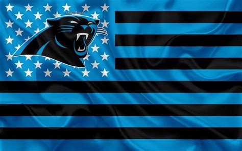 Download wallpapers Carolina Panthers, American football team, creative ...