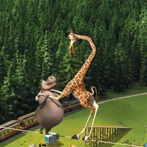 Image - Melman and gloria.jpg - Madagascar Wiki