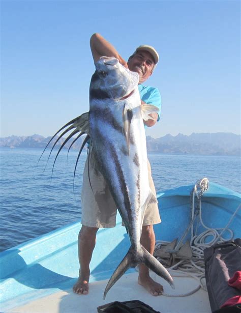 SPORTFISHING LORETO BAJA – Loreto Sea and Land Tours