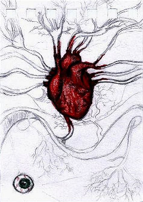 Real Human Heart Drawing at GetDrawings | Free download