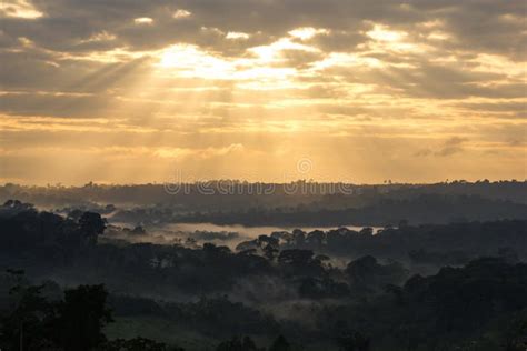 Sunrise View Of Amazon Rainforest Stock Image - Image of climate, season: 69668069