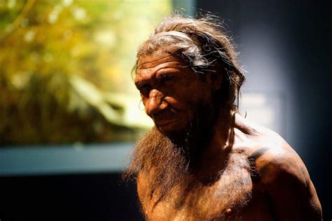 Why did Neanderthals have such big noses? It helped them adapt to the cold, study says