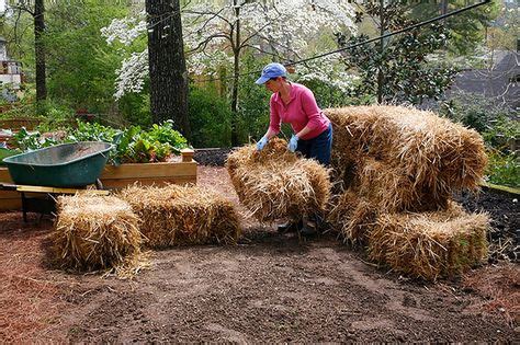 56 Hay bale gardening ideas | hay bale gardening, straw bale gardening ...