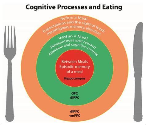 Cognitive processes throughout the day that influence eating behaviour.... | Download Scientific ...