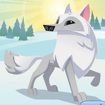 Arctic Wolf | Animal Jam Wiki | Fandom