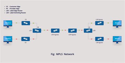 לא יכול חוזה מלאך edge label switch router זמין הקלה ממסר