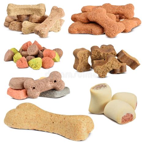 Dog Feeding Collection of Different Sorts Stock Image - Image of nature, multiple: 145077847