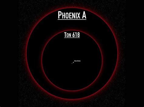 Phoenix A Black Hole vs TON 618: A Comparative Study of Supermassive ...