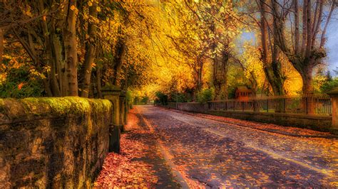 Wallpaper Foliage Autumn Nature Fence Street Trees 1920x1080