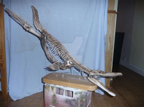 1/8 scale pliosaur skeleton by eotyannus on DeviantArt