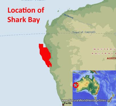 Shark Bay, Western Australia | Natural World Heritage Sites