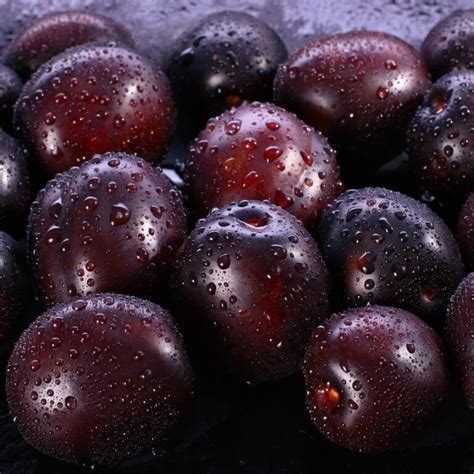 22 Types of Plums (Different Varieties) - Insanely Good