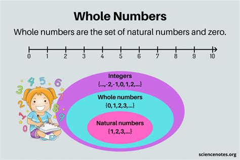 Whole Numbers - Definition and Examples in Math