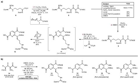 Scheme 1. a) Synthesis of pyridine 13 from arginine derivative 6. b)... | Download Scientific ...