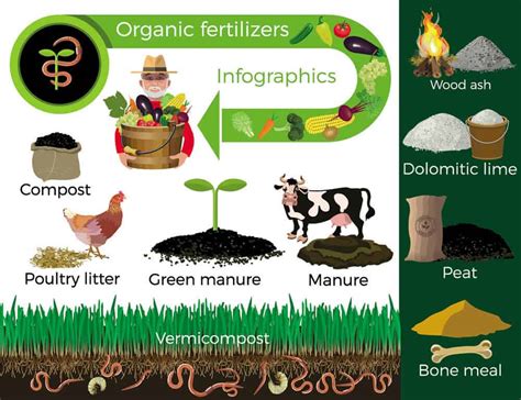 What's Organic Fertilizer- Definition & Type | Dora Agri