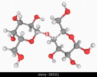 Chemical structure of lactose, a milk sugar molecule. Lactose is the Stock Photo: 100699282 - Alamy