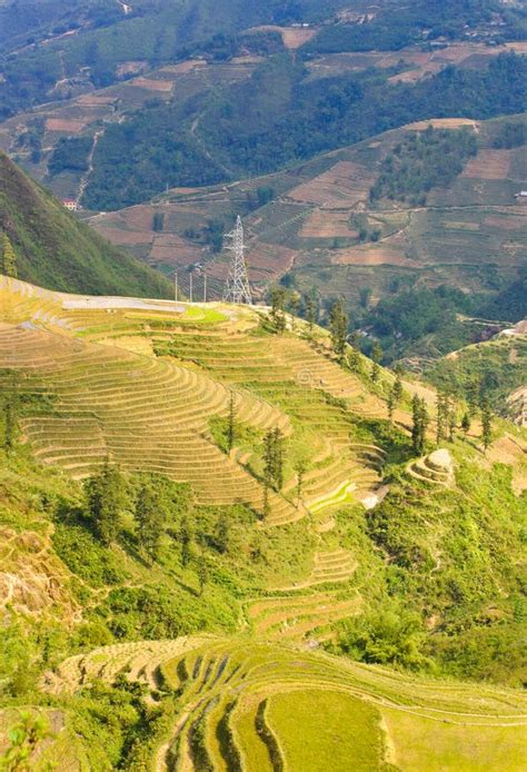 Traditional Rice Terraced Field Stock Photo - Image of plantation, house: 25294304