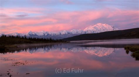 Denali at Sunrise | Denali National Park | Ed Fuhr Photography