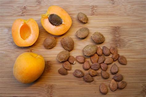 All About Apricot Seeds | Apricot Power