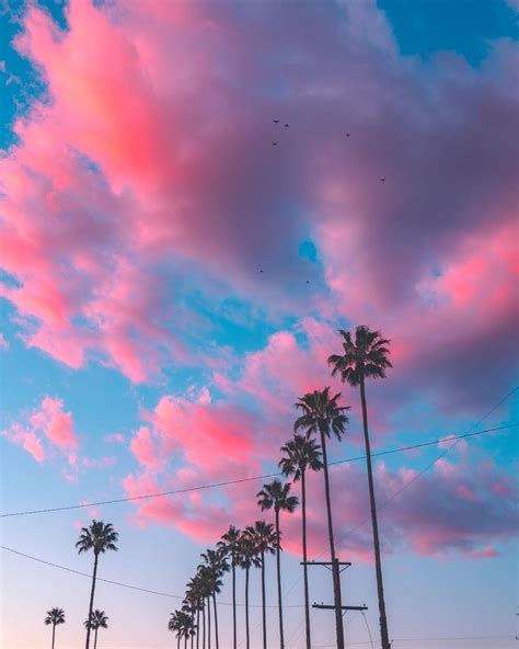 Cotton Candy Skies: Astonishing Photos of California by David Repola | Cotton candy sky, Sky ...