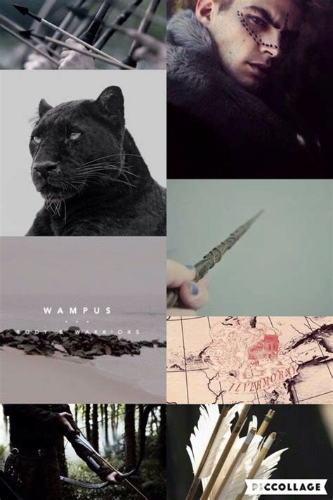 Wampus | Harry potter fantastic beasts, Harry potter love, Harry potter