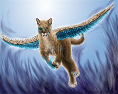 Cats With Wings Wallpapers - Wallpaper Cave