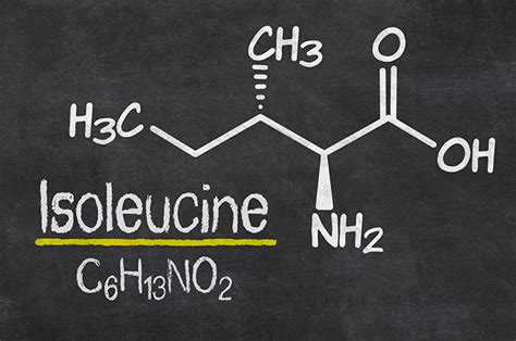 Isoleucine sources, health benefits and uses