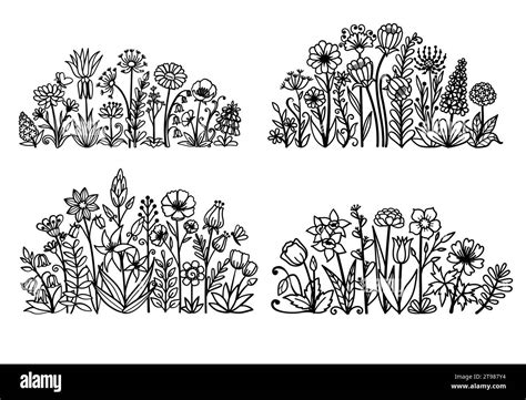 Hand drawn botanical flowers, meadow, spring flowers. Vector illustration Stock Vector Image ...
