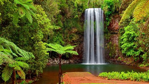 Fond d'écran : paysage, cascade, vert, jungle, courant, forêt tropicale ...